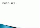 애견산업 7페이지