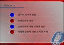 기독교와 응원문화 24페이지