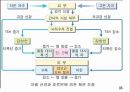 체온조절장애 17페이지