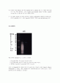 [생명공학] Plasmid DNA preparation 4페이지
