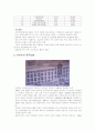 [국제마케팅] 한국기업 해외진출 성공사례와 실패사례 4페이지