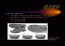 생체역학 레포트 8페이지
