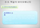 독일에 적합한 신재생에너지 사업 계획서 (Department of Information Communication Engineering) 17페이지