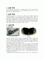 [전자재료실험] MOS Capacitor 2페이지