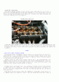 [자동차의 구조와 이해] 타이밍벨트에 대한 총체적 조사분석 7페이지