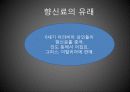 향신료의 종류와 기능 3페이지