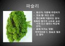 향신료의 종류와 기능 25페이지