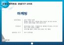 에넥스제안서 11페이지
