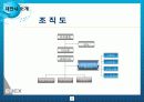 에넥스제안서 42페이지