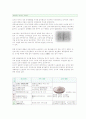 김치에 대해서 4페이지