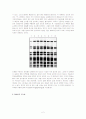 DNA Fingerprint[DNA 지문] 2페이지