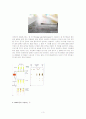 DNA Fingerprint[DNA 지문] 3페이지