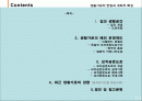 생활가로의 현황과 계획적 특성 2페이지