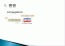 Nitraion반응 - methyl 3-nitrobenzoate의 합성 5페이지