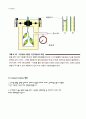 [생명과학] 수분포텐셜 (water potential) 5페이지