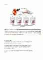 [생명과학] 수분포텐셜 (water potential) 6페이지