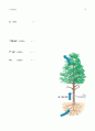 [생명과학] 수분포텐셜 (water potential) 10페이지