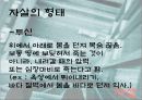 기독교 윤리 자살 8페이지