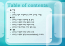 [국토계획] 4대강 정비 사업. 대한민국  미래의 새 물결이라고 할 수 있는가? 2페이지