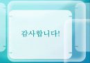 [국토계획] 4대강 정비 사업. 대한민국  미래의 새 물결이라고 할 수 있는가? 16페이지