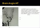 영상해부학 4페이지