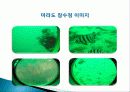 관광잠수정 관광 현황, 종류, 정의 및 특징과 역사, 국내외 현황, 도입 필요성, 발전방안, 성공요인, 문제점, 개선방향 총체적 조사분석 15페이지