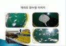 관광잠수정 관광 현황, 종류, 정의 및 특징과 역사, 국내외 현황, 도입 필요성, 발전방안, 성공요인, 문제점, 개선방향 총체적 조사분석 16페이지
