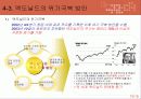 맥도날드는 정치적 위험을 어떻게 극복하였는가 15페이지