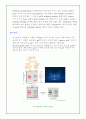 [식물생리학]제한효소 DNA 절단과 전기영동법과 PCR에 의한 DNA분리 및 확인 8페이지