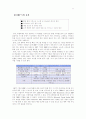 [품질경영/생산운영관리] 이랜드의 ERP 도입 13페이지