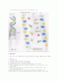 딸기 DNA 추출 실험 보고서 2페이지