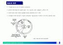 재료거동학(파괴 및 피로설계), 재료 역사, 구조물 제작 과정 25페이지