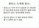osmu_성공사례_분석 22페이지