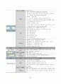 척추관 협착증 케이스 스터디 34페이지