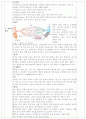 응급처치법 2페이지
