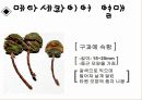 메타세콰이어 자료입니다. 7페이지