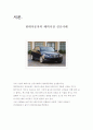 제네시스 전략 1페이지
