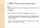 심전도의 이해 2페이지
