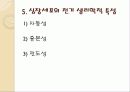 심전도의 이해 14페이지