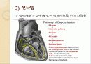 심전도의 이해 17페이지
