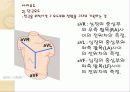 심전도의 이해 20페이지