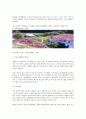친환경[1] 5페이지