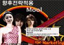  SM엔터테인먼트의 2013년 성공적인 해외진출과 한류 마케팅 전략의 성공 비결과 시사점, 향후전략 72페이지