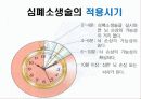 심폐소생술 11페이지