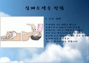 심폐소생술 16페이지