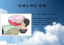 심폐소생술 24페이지