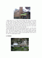 문화권으로 본 성동구 역사 30페이지