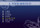 조명 10페이지