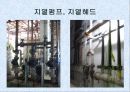 성북구청신청사 22페이지