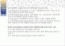 장애인복지의 이해 13페이지